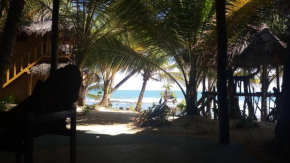 The Alpha Monkey hotel & Tree house
